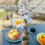 La Dolce-vita-clim-terrasse Villa *